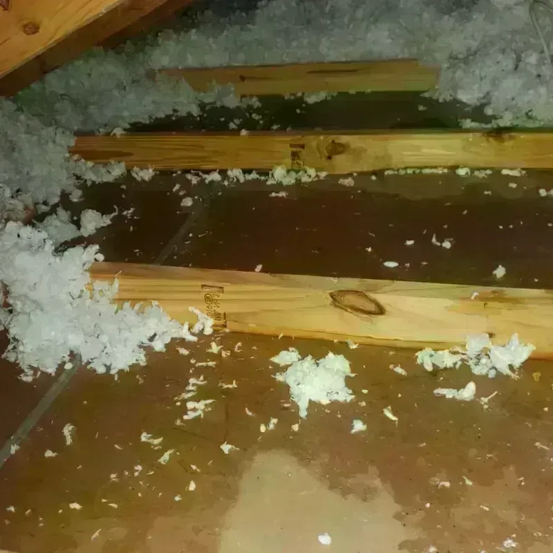 Attic Water Damage in Southwest Greensburg, PA