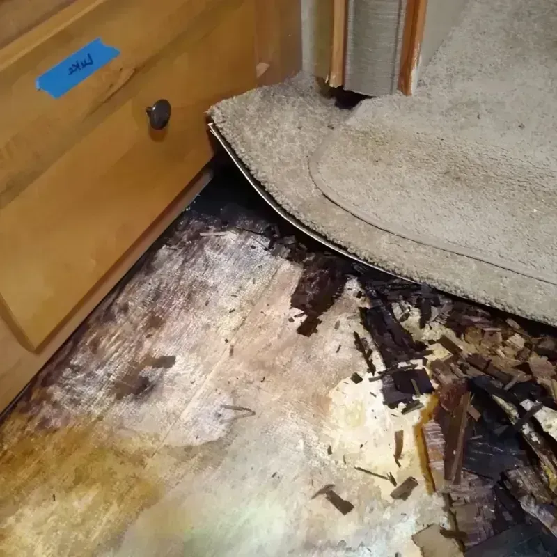 Best Wood Floor Water Damage Service in Southwest Greensburg, PA